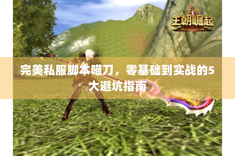 完美私服脚本喵刀，零基础到实战的5大避坑指南