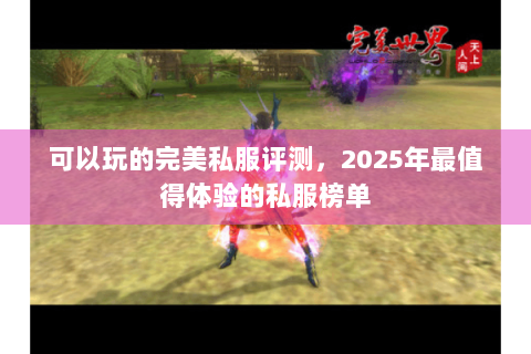 可以玩的完美私服评测，2025年最值得体验的私服榜单