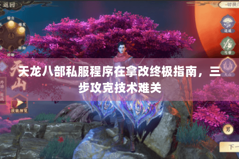 天龙八部私服程序在拿改终极指南，三步攻克技术难关
