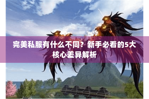 完美私服有什么不同？新手必看的5大核心差异解析
