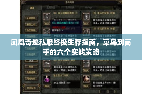 凤凰奇迹私服终极生存指南，菜鸟到高手的六个实战策略