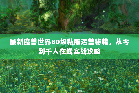 最新魔兽世界80级私服运营秘籍，从零到千人在线实战攻略