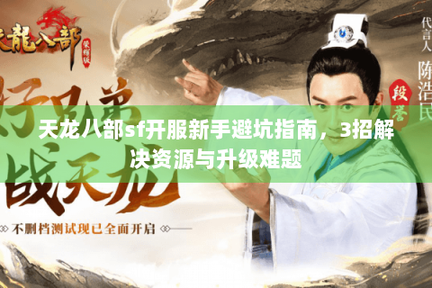 天龙八部sf开服新手避坑指南，3招解决资源与升级难题