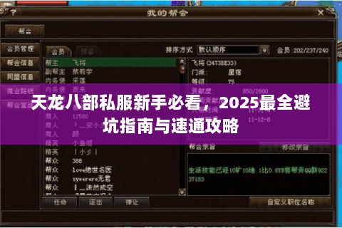 天龙八部私服新手必看，2025最全避坑指南与速通攻略