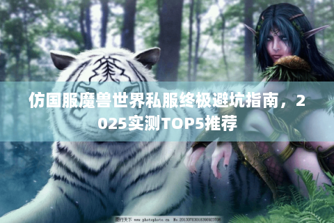 仿国服魔兽世界私服终极避坑指南，2025实测TOP5推荐