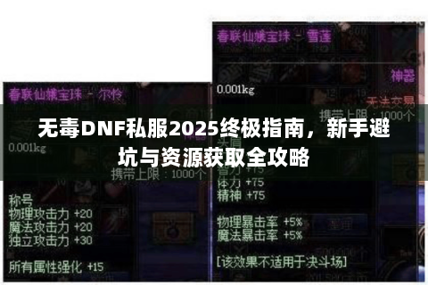 无毒DNF私服2025终极指南，新手避坑与资源获取全攻略