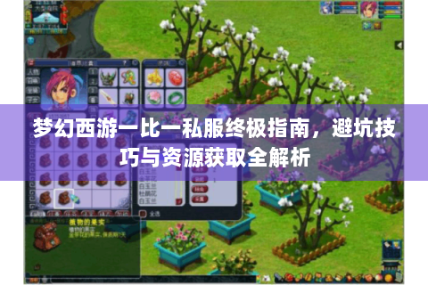 梦幻西游一比一私服终极指南，避坑技巧与资源获取全解析