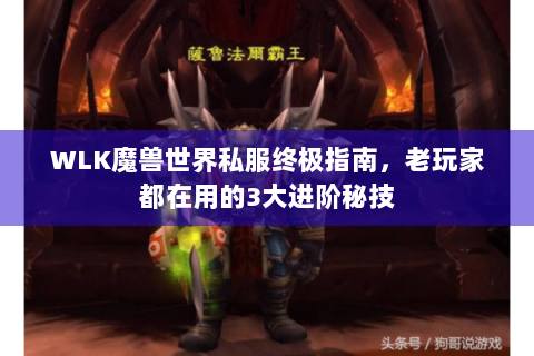 WLK魔兽世界私服终极指南，老玩家都在用的3大进阶秘技