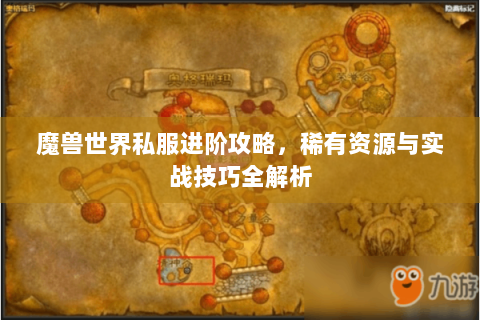魔兽世界私服进阶攻略，稀有资源与实战技巧全解析