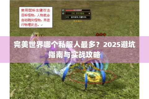 完美世界哪个私服人最多？2025避坑指南与实战攻略