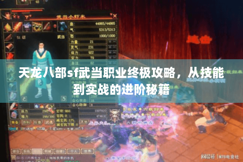 天龙八部sf武当职业终极攻略，从技能到实战的进阶秘籍