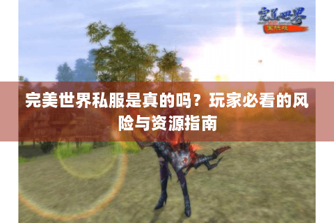 完美世界私服是真的吗？玩家必看的风险与资源指南