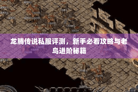 龙腾传说私服评测，新手必看攻略与老鸟进阶秘籍