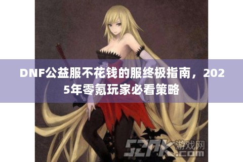 DNF公益服不花钱的服终极指南，2025年零氪玩家必看策略