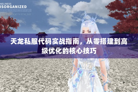 天龙私服代码实战指南，从零搭建到高级优化的核心技巧