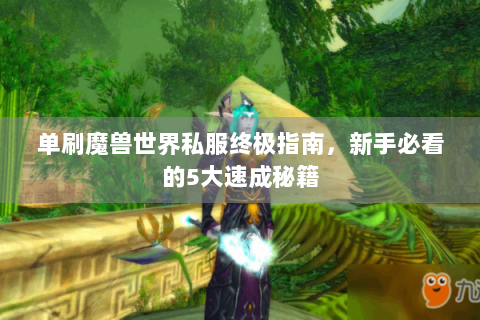 单刷魔兽世界私服终极指南，新手必看的5大速成秘籍