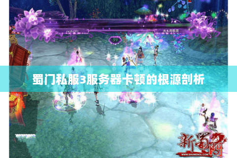 蜀门私服3服务器卡顿的根源剖析