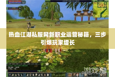 热血江湖私服网新职业运营秘籍，三步引爆玩家增长