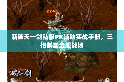 新破天一剑私服PK辅助实战手册，三招制霸全服战场