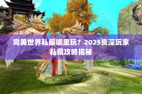 完美世界私服哪里玩？2025资深玩家私藏攻略揭秘
