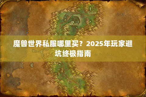 魔兽世界私服哪里买？2025年玩家避坑终极指南