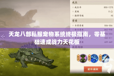 天龙八部私服宠物系统终极指南，零基础速成战力天花板