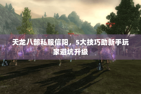 天龙八部私服信阳，5大技巧助新手玩家避坑升级