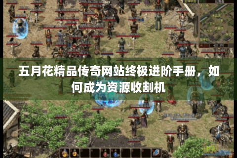 五月花精品传奇网站终极进阶手册，如何成为资源收割机