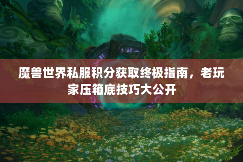 魔兽世界私服积分获取终极指南，老玩家压箱底技巧大公开