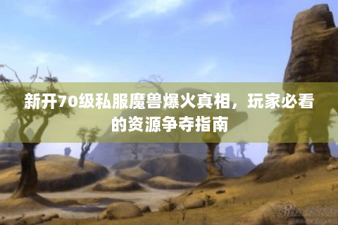 新开70级私服魔兽爆火真相，玩家必看的资源争夺指南