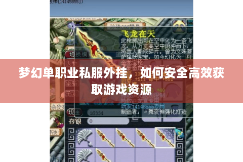 梦幻单职业私服外挂，如何安全高效获取游戏资源