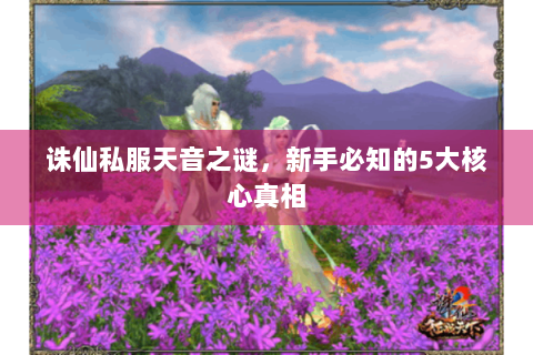 诛仙私服天音之谜，新手必知的5大核心真相