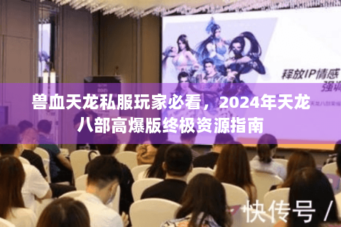 兽血天龙私服玩家必看，2024年天龙八部高爆版终极资源指南