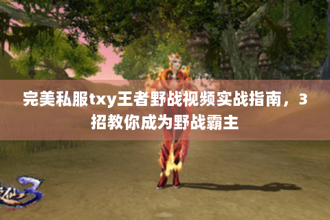 完美私服txy王者野战视频实战指南，3招教你成为野战霸主