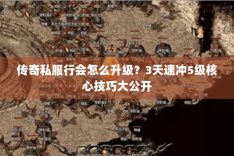 传奇私服行会怎么升级？3天速冲5级核心技巧大公开