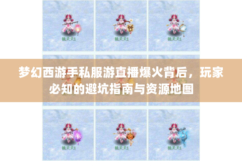 梦幻西游手私服游直播爆火背后，玩家必知的避坑指南与资源地图