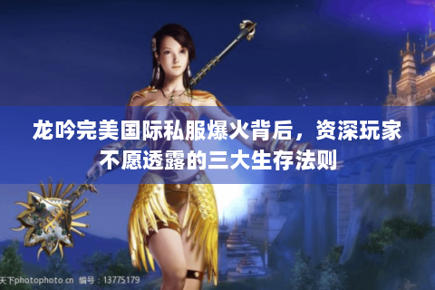 龙吟完美国际私服爆火背后，资深玩家不愿透露的三大生存法则