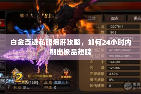 白金奇迹私服爆肝攻略，如何24小时内刷出极品翅膀