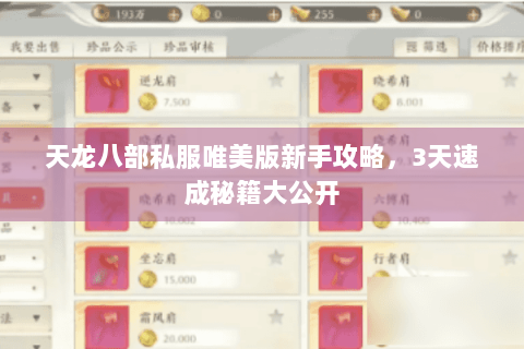 天龙八部私服唯美版新手攻略，3天速成秘籍大公开