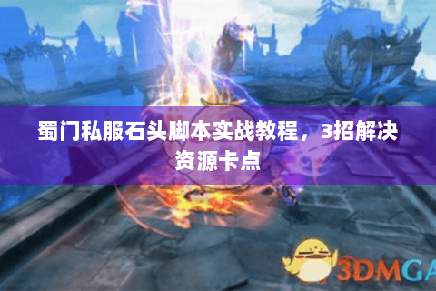蜀门私服石头脚本实战教程，3招解决资源卡点