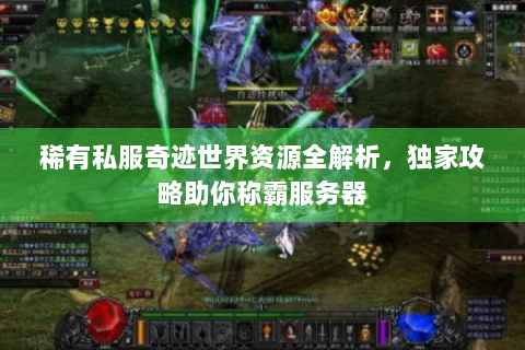 稀有私服奇迹世界资源全解析，独家攻略助你称霸服务器