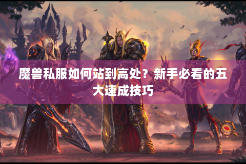魔兽私服如何站到高处？新手必看的五大速成技巧