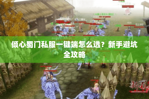 倾心蜀门私服一键端怎么选？新手避坑全攻略