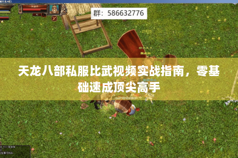 天龙八部私服比武视频实战指南，零基础速成顶尖高手