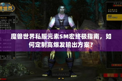 魔兽世界私服元素SM宏终极指南，如何定制高爆发输出方案？