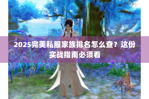 2025完美私服家族排名怎么查？这份实战指南必须看