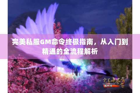 完美私服GM命令终极指南，从入门到精通的全流程解析