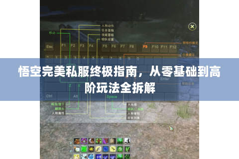 悟空完美私服终极指南，从零基础到高阶玩法全拆解
