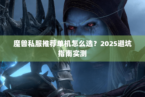 魔兽私服推荐单机怎么选？2025避坑指南实测