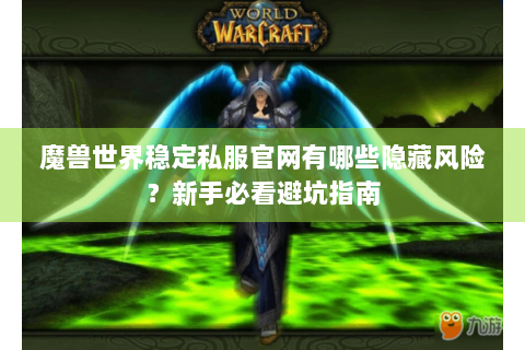 魔兽世界稳定私服官网有哪些隐藏风险？新手必看避坑指南